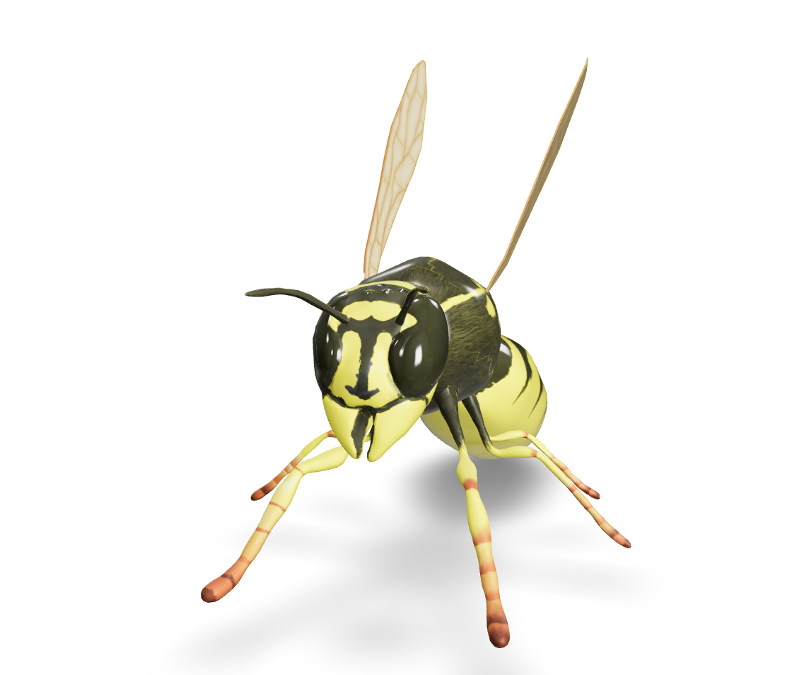 wasp in 3d